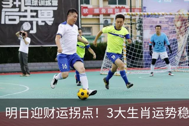 明日迎财运拐点！3大生肖运势稳步上扬，正财稳增财源渐旺