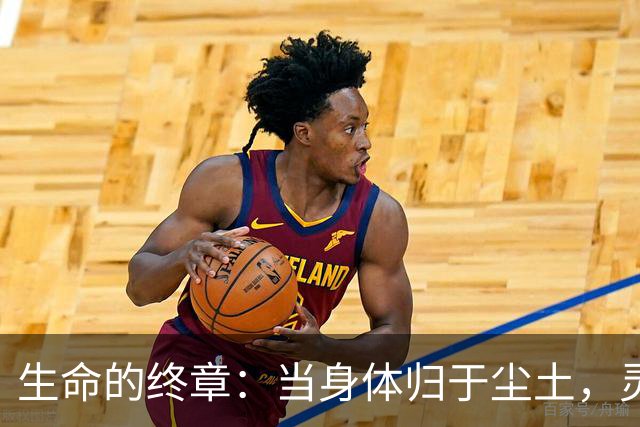 生命的终章：当身体归于尘土，灵魂留下的回忆